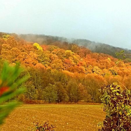 Somhegyi Oereg Harsfak Major Vendeghaz Bed & Breakfast Bakonybel Luaran gambar