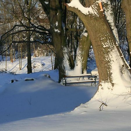 Somhegyi Oereg Harsfak Major Vendeghaz Bed & Breakfast Bakonybel Luaran gambar