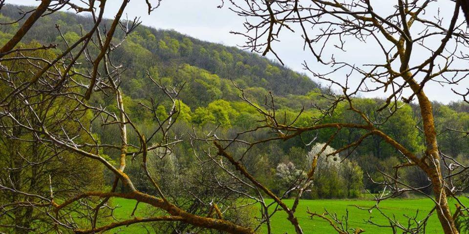 Somhegyi Oereg Harsfak Major Vendeghaz Bed & Breakfast Bakonybel Luaran gambar